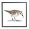 Stupell Industries Charming Sandpiper on Soft Sand Brown Nautical Bird in Black Frame Wall Art
